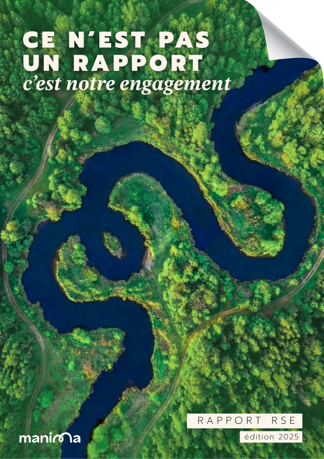 miniature rapport RSE
